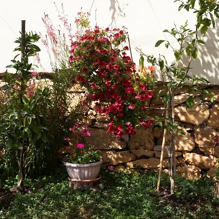 With Parking Space Vrsar, Porec - 14164 * Vrsar