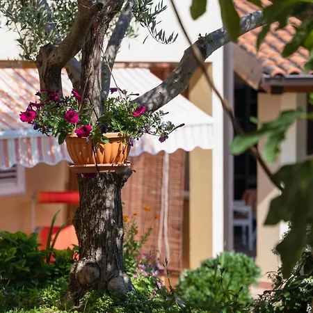 With Parking Space Vrsar, Porec - 14164 Appartement *
