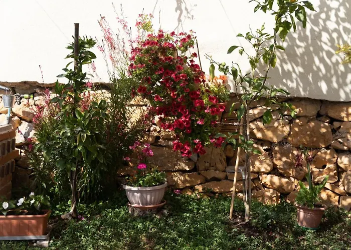 With Parking Space Vrsar, Porec - 14164 * 弗尔萨尔